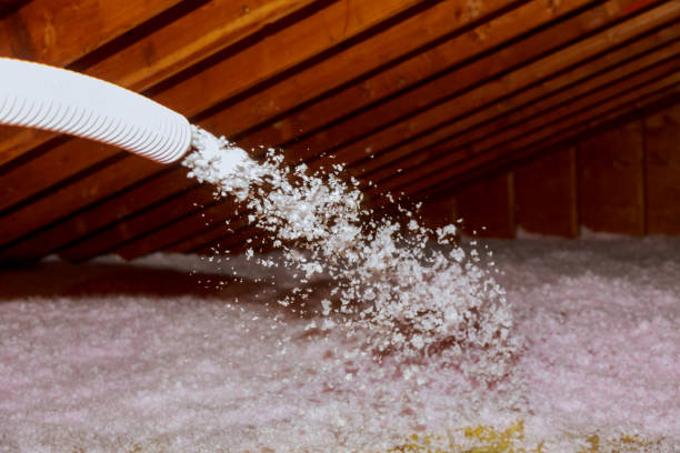 Best Eco-Friendly Insulation in Angier, NC