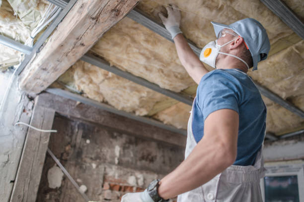 Best Cellulose Insulation in Angier, NC