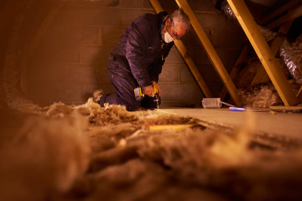 Best Residential Insulation in Angier, NC